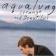 Canciones traducidas de aqualung