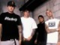 Canciones traducidas de box car racer