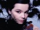 Canciones traducidas de bjork