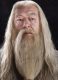 Canciones traducidas de albus dumbledore