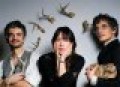 Canciones traducidas de blonde redhead