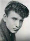 Canciones traducidas de bobby rydell