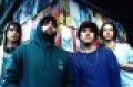 Canciones traducidas de animal collective