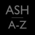 Canciones traducidas de ash