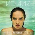 Canciones traducidas de indiana