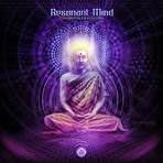 Canciones traducidas de resonant of mind