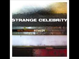 Canciones traducidas de strange celebrity