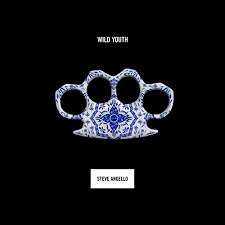 Canciones traducidas de steve angello feat. the presets