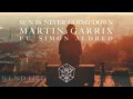 Canciones traducidas de martin garrix