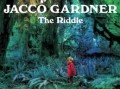 Canciones traducidas de jacco gardner