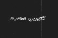 Canciones traducidas de flaming calibers