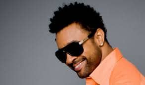 Canciones traducidas de shaggy