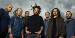 Canciones traducidas de soja