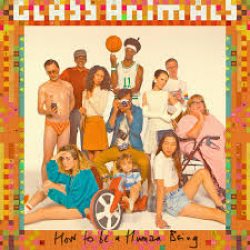 Canciones traducidas de glass animals