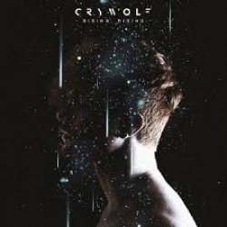 Canciones traducidas de crywolf